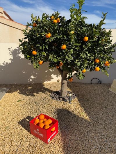 Image No.19-2 Bed Villa for sale