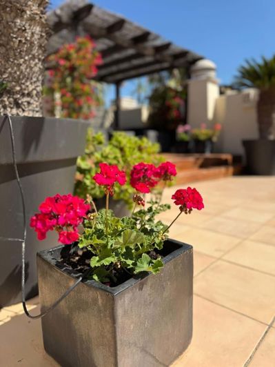 Image No.23-2 Bed Apartment for sale