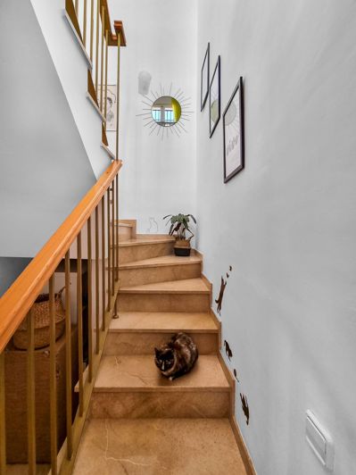 Image No.24-3 Bed Penthouse for sale