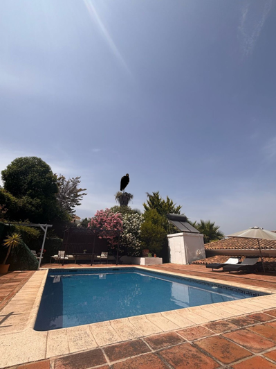 Image No.11-4 Bed Villa for sale