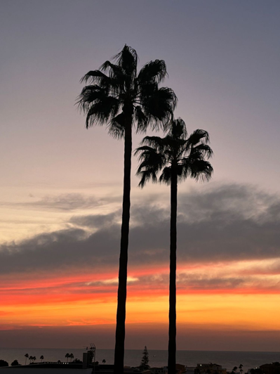 Image No.9-4 Bed Villa for sale