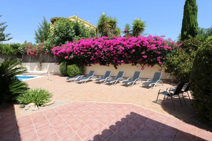 Image No.5-4 Bed Apartment for sale