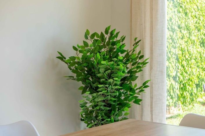 Image No.41-3 Bed Apartment for sale