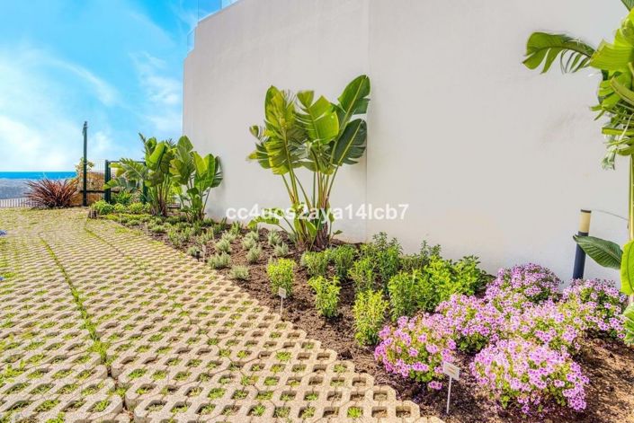 Image No.25-2 Bed Apartment for sale