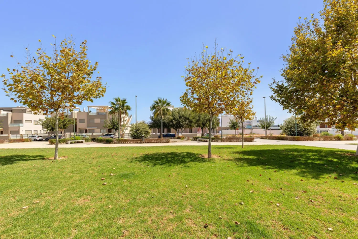 Image No.22-Appartement de 3 chambres à vendre à Alicante