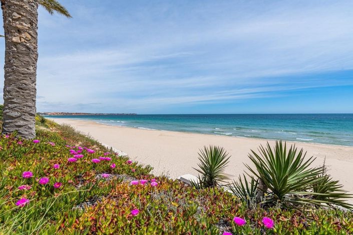 Image No.29-3 Bed Villa for sale