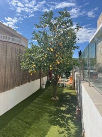 1447-624883-78d1f4f8b6655591b02d22fabb36a692d