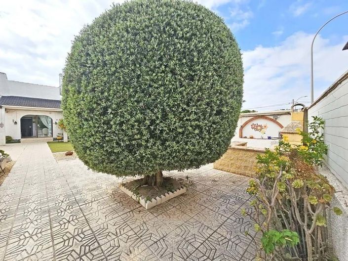 Image No.7-3 Bed Villa for sale