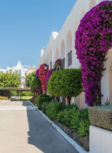 Image No.10-3 Bed Penthouse for sale