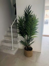 1447-646197-78d1f4f8b6655591b02d22fabb36a692d