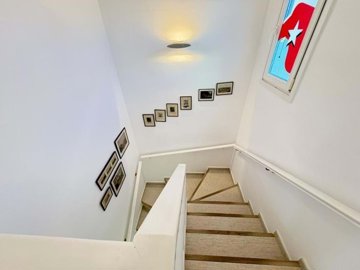 1447-646396-78d1f4f8b6655591b02d22fabb36a692d