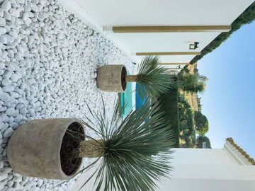 1447-646189-78d1f4f8b6655591b02d22fabb36a692d