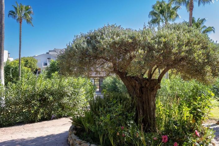 Image No.32-2 Bed Apartment for sale