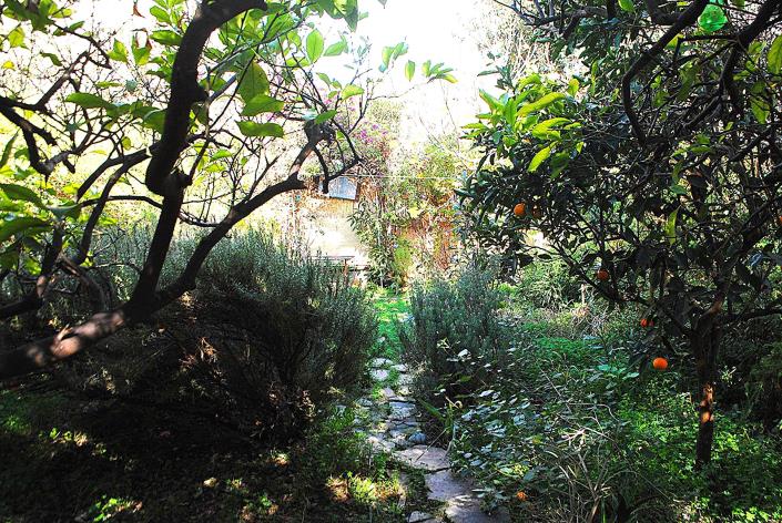 Image No.5-3 Bed House/Villa for sale