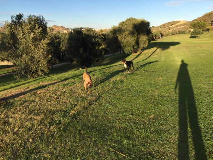 Image No.25-2 Bed Apartment for sale