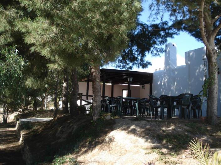 Image No.29-7 Bed Commercial for sale