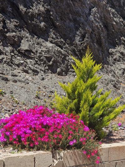 Image No.30-5 Bed House for sale