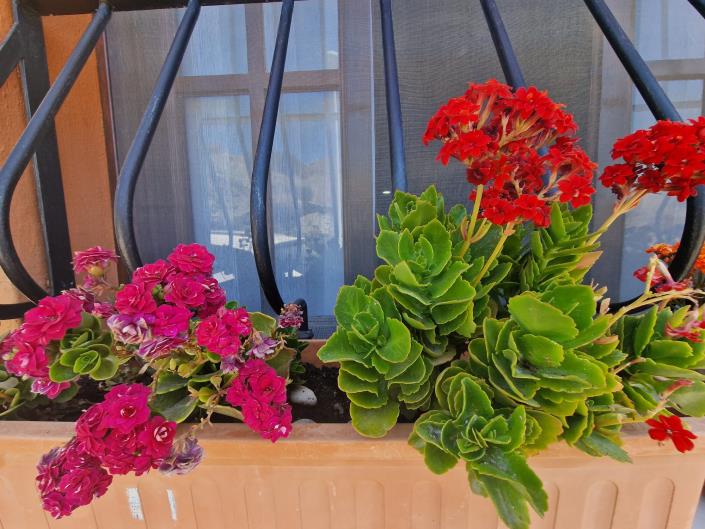 Image No.27-5 Bed House for sale