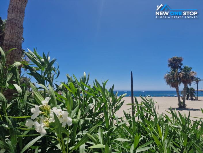 Image No.20-1 Bed Apartment for sale