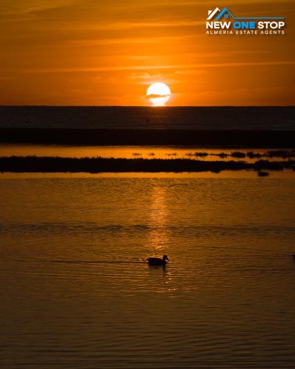 Image No.20-3 Bed Apartment for sale