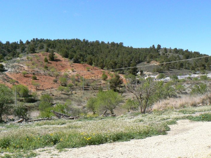 Image No.36-5 Bed Cortijo for sale