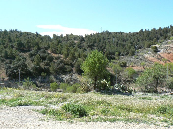 Image No.4-5 Bed Cortijo for sale