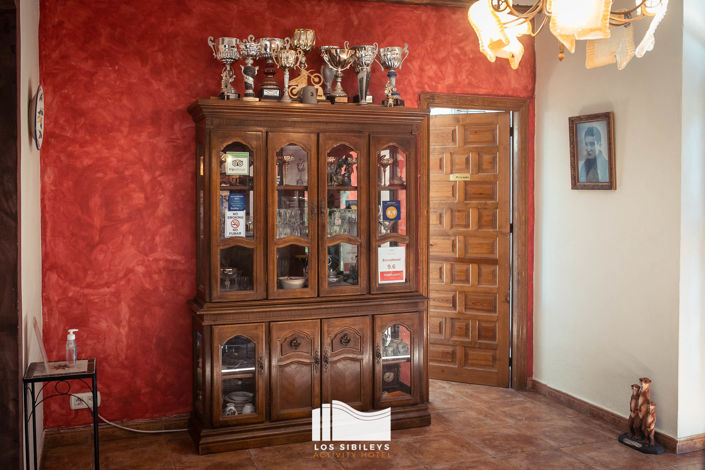 Image No.11-7 Bed Cortijo for sale