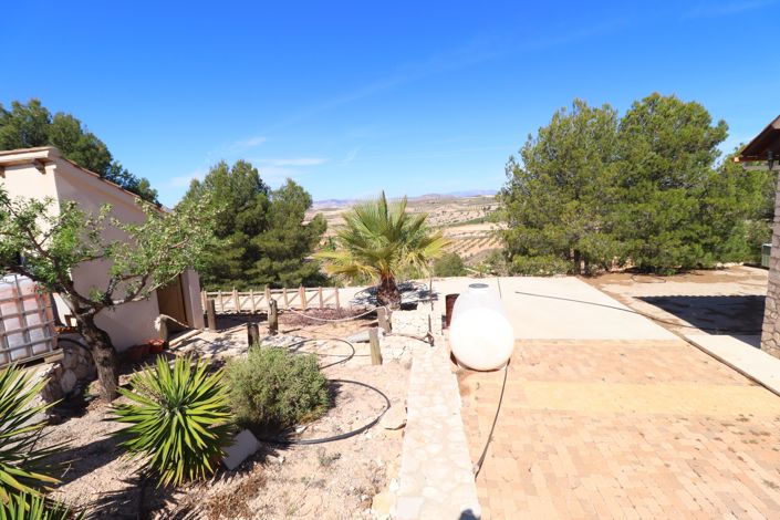 Image No.40-3 Bed Finca for sale