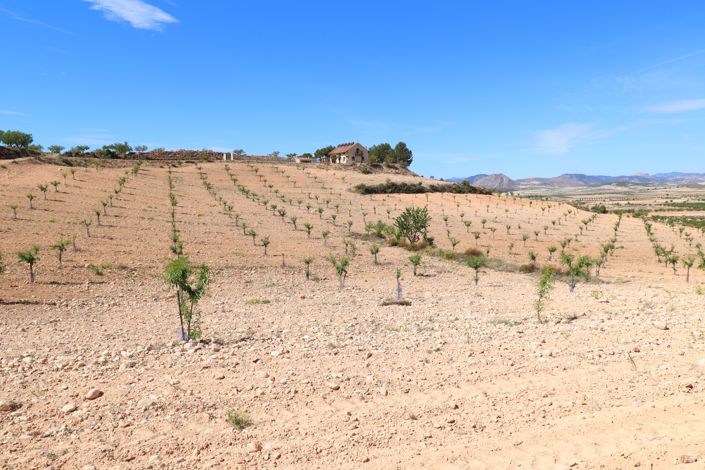 Image No.48-3 Bed Finca for sale