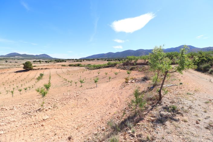 Image No.50-3 Bed Finca for sale