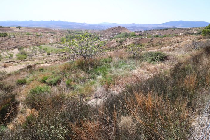 Image No.47-2 Bed Cortijo for sale