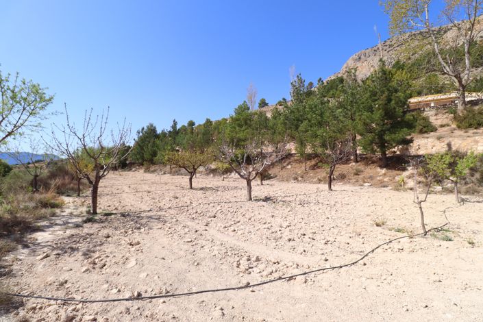 Image No.50-2 Bed Cortijo for sale