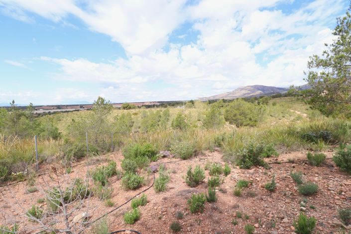 Image No.50-4 Bed Villa for sale