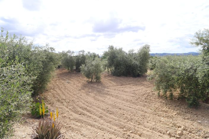 Image No.15-2 Bed Country House for sale