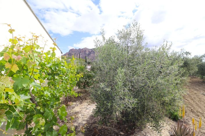 Image No.16-2 Bed Country House for sale