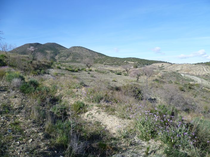 Image No.13-3 Bed Country House for sale