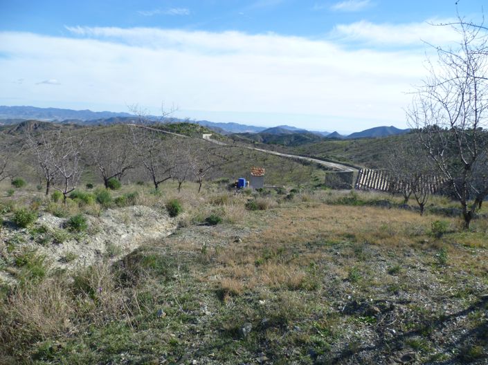 Image No.14-3 Bed Country House for sale