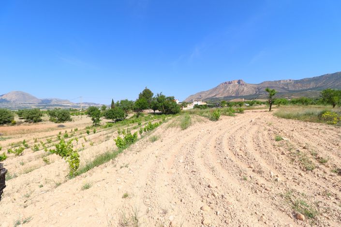 Image No.47-8 Bed Cortijo for sale