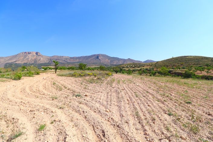 Image No.48-8 Bed Cortijo for sale