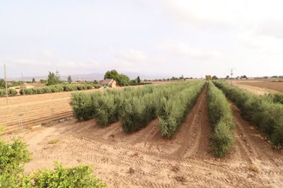 d7qicwucibo3032-ch202