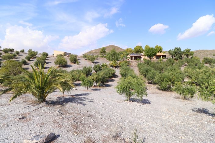 Image No.2-4 Bed Country House for sale