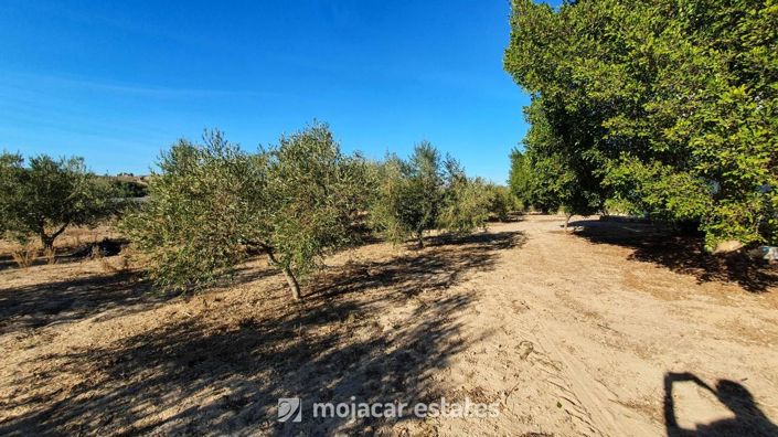 Image No.15-4 Bed Villa for sale