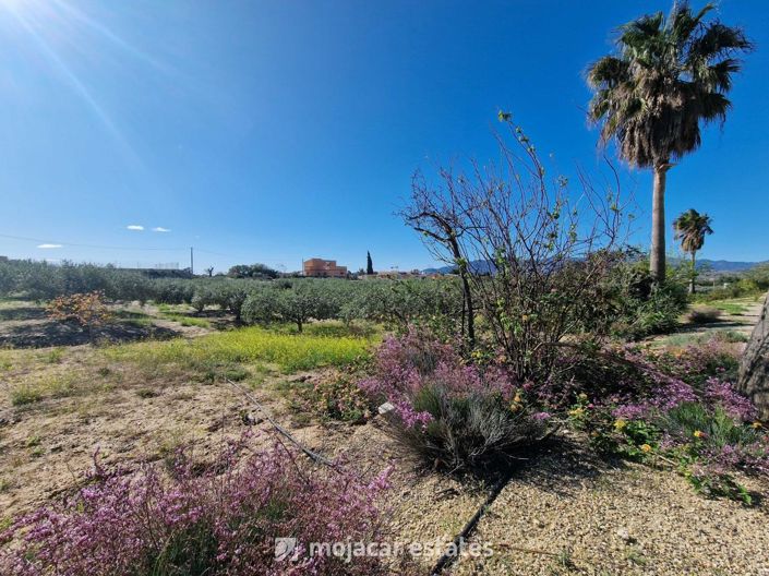 Image No.5-4 Bed Villa for sale