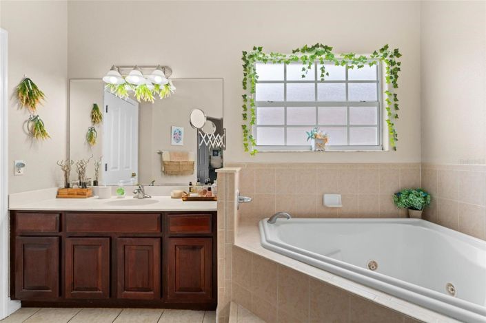 Image No.24-7 Bed House for sale