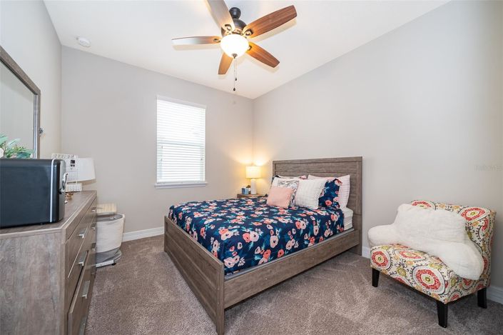 Image No.25-5 Bed House for sale