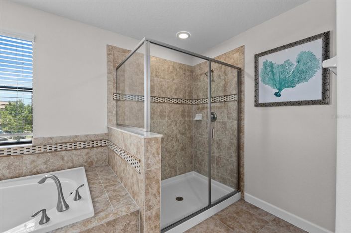 Image No.42-6 Bed House for sale