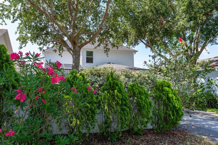 Image No.48-3 Bed House for sale