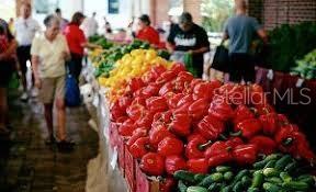 Image No.63-5 Bed House for sale