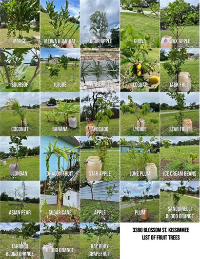 Image No.58-3 Bed House for sale