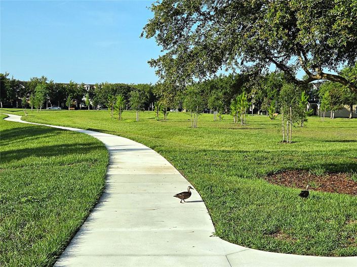 Image No.96-4 Bed House for sale